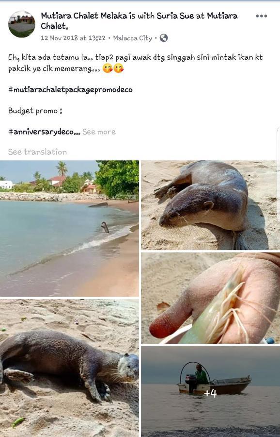 Mutiara Chalet Malacca ภายนอก รูปภาพ